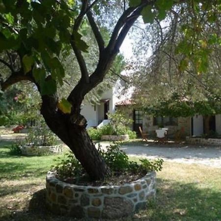 Traditionelles Appartement Athos Shadow Am Meer Paralia Sikias Ngoại thất bức ảnh
