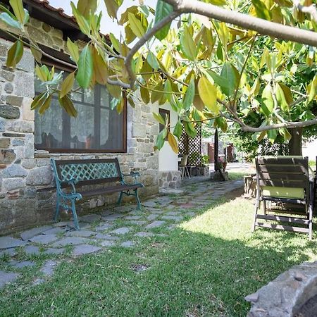 Traditionelles Appartement Athos Shadow Am Meer Paralia Sikias Ngoại thất bức ảnh