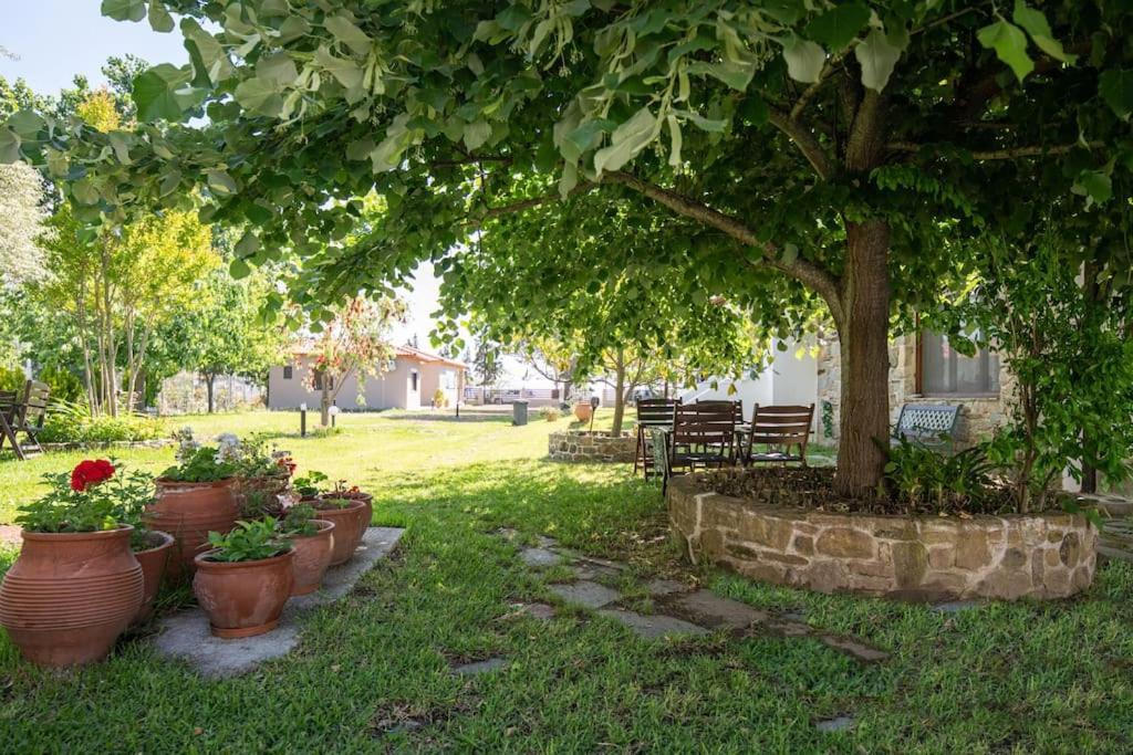 Traditionelles Appartement Athos Shadow Am Meer Paralia Sikias Ngoại thất bức ảnh