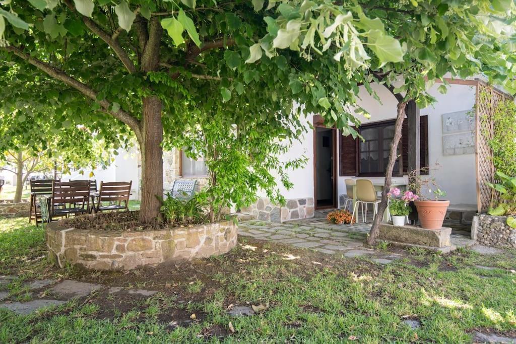 Traditionelles Appartement Athos Shadow Am Meer Paralia Sikias Ngoại thất bức ảnh