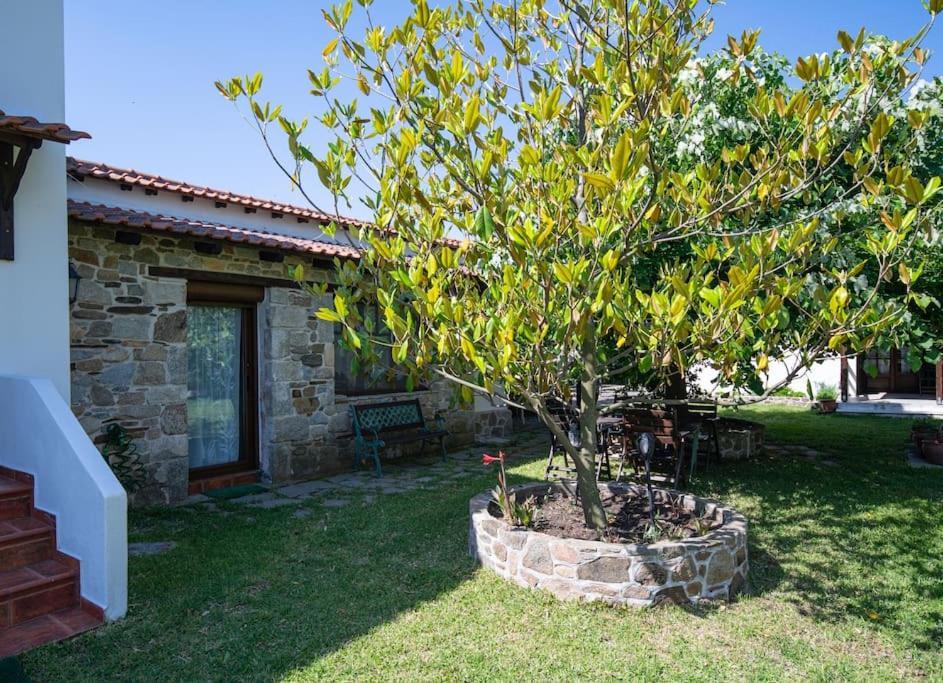 Traditionelles Appartement Athos Shadow Am Meer Paralia Sikias Ngoại thất bức ảnh